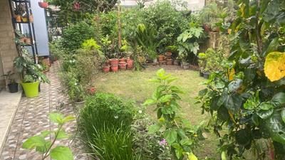Image of 200 Sq.ft Residential Plot / Land for sale in Sahastradhara Road, Dehradun for Rs. 13200000