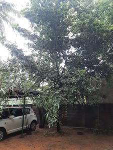 Image of 9600 Sq.ft 3 BHK Independent House for sale in Injambakkam, Chennai for Rs. 120000000