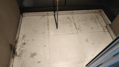 Image of 1010 Sq.ft 2 BHK Apartment / Flat for rent in Akshar Alvario, Nerul, Navi Mumbai for Rs. 65000
