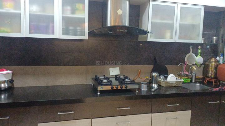 Orchid Harmony Main Image 1