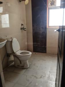 Image of 1500 Sq.ft 3 BHK Apartment / Flat for rent in Amrapali Castle, Chi V, Greater Noida for Rs. 21000