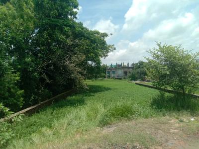 Residential plot Sonarpur Plot View 2