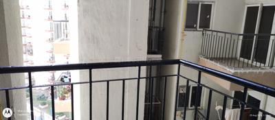 Balcony Image of 807 Sq.ft 2 BHK Apartment / Flat for rent in Amrapali Dream Valley 2, Noida Extension Greater Noida for Rs. 16500