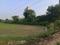 Shree Shyam Kunj Society Plot View 2