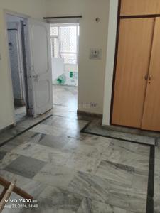 Hall Image of 1350 Sq.ft 2 BHK Apartment / Flat for rent in Radhika Apartment, Sector 14 Dwarka New Delhi for Rs. 35000