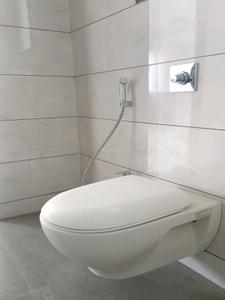 Common Bathroom Image of 1327 Sq.ft 3 BHK Apartment / Flat for sale in Lifecraft The 4th Axis, Punawale Pune for Rs. 8500000