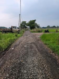 Wander Valley Internal Roads 2