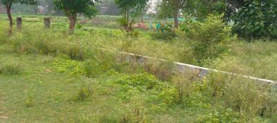 Image of 1000 Sq.ft Residential Plot / Land for sale in Lucknow Royal Royal Estate, Bhuhera, Barabanki for Rs. 1600000