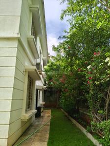 Image of 2444 Sq.ft 3 BHK Villa for rent in Paranjape Cascade, Bhugaon, Pune for Rs. 65000