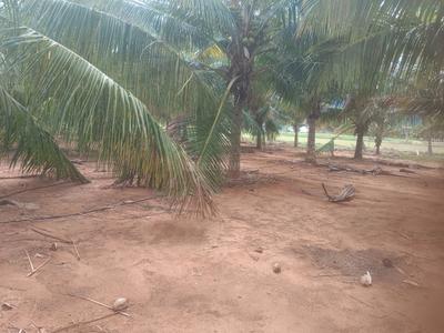 Image of 370260 Sq.ft 1 RK Farm House for sale in Madampatti, Coimbatore for Rs. 45000000