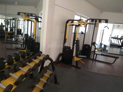 Hall Image of 1100 Sq.ft 2 BHK Apartment / Flat for rent in Marvel Ideal Spacio Phase 1, Pisoli Pune for Rs. 25000