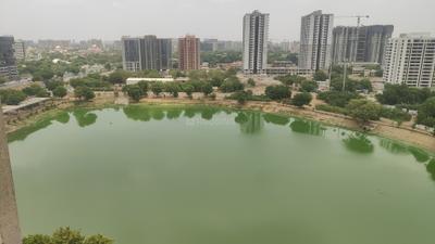 Living Room Image of 2000 Sq.ft 3 BHK Penthouse for rent in Raison Casa Elite, Chharodi Ahmedabad for Rs. 45000