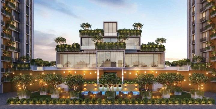 Flora Iris Main Image 1