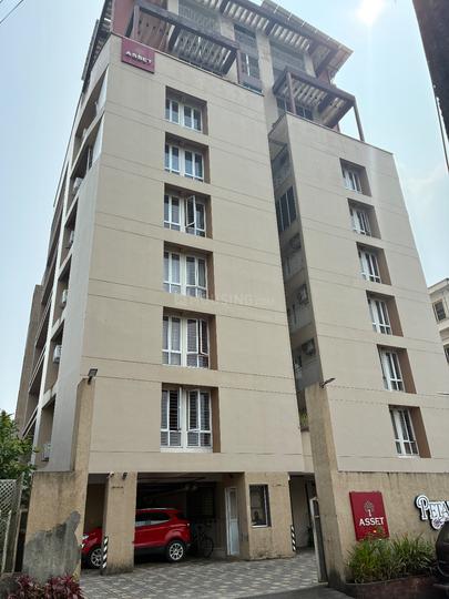 Asset Petals Main Image 1