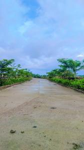 Image of 1000 Sq.ft Residential Plot / Land for sale in Sakri, Bilaspur for Rs. 1500000