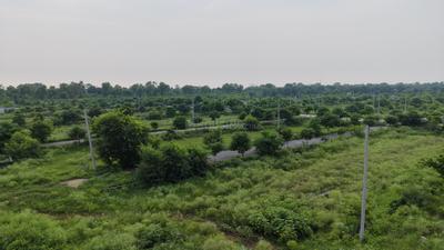 Image of 1350 Sq.ft Residential Plot / Land for sale in Marorgarhi, Aligarh for Rs. 3300000