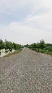 Image of 6000 Sq.ft Residential Plot / Land for sale in Sejbahar, Raipur for Rs. 4500000