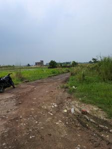 Wander Valley Internal Roads 1