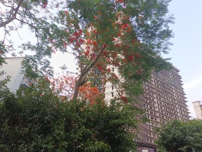 Image of 2280 Sq.ft 4 BHK Apartment / Flat for sale in Rising Homes At DXP 92, Sector 92, Gurgaon for Rs. 29900000