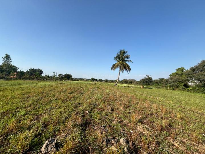 Laxmi Pushp Main Image 1