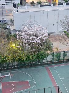 Image of 1140 Sq.ft 2 BHK Apartment / Flat for sale in Carmelaram, Bengaluru for Rs. 14900000