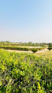Image of 400 Sq.ft Residential Plot / Land for sale in Altus Space Muirwoods, New Chandigarh, Chandigarh for Rs. 38500000