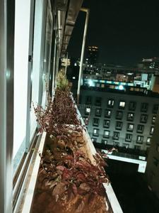 Balcony Image of Aadya Adwika in Whitefield, Bangalore
