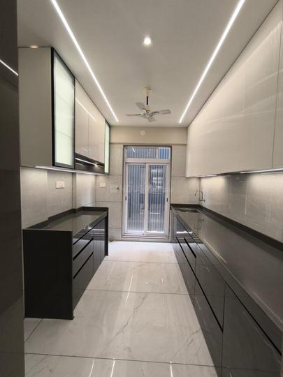 Delta Palacio Main Image 1