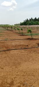 Image of 13000 Sq.ft Residential Plot / Land for sale in Konalai, Tiruchirappalli for Rs. 1250000