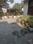 Balcony Image of PG 12871143 Gtb Nagar in GTB Nagar, New Delhi
