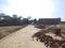 YEIDA Individual Residential Plots Internal Roads 2