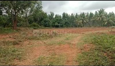 Chathapuram Plot View 3