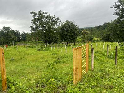 Image of 2605 Sq.ft Residential Plot / Land for sale in Neral, Thane for Rs. 2900000