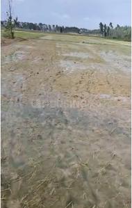 Image of 43000 Sq.ft Residential Plot / Land for sale in Ramnagar, Nainital for Rs. 7000000
