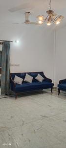 Hall Image of 1300 Sq.ft 2 BHK Independent House for rent in Arya Chittaranjan Park, Chittaranjan Park New Delhi for Rs. 52000