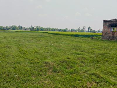 Image of 720 Sq.ft Residential Plot / Land for sale in Natagachi, Kolkata for Rs. 599999