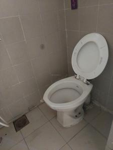 Common Bathroom Image of 600 Sq.ft 1 BHK Apartment / Flat for rent in Magarpatta Heliconia, Magarpatta City Pune for Rs. 23000