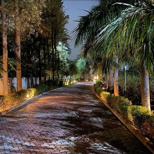 Sector D, Vasant Kunj More Images 1