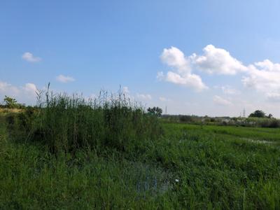 Image of 1440 Sq.ft Residential Plot / Land for sale in Wander Valley, Joka, Kolkata for Rs. 500000