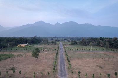 Image of 9100 Sq.ft Residential Plot / Land for sale in Mettupalayam, Coimbatore for Rs. 12000000