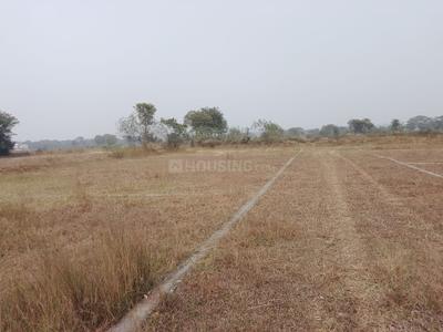 Image of 1200 Sq.ft Residential Plot / Land for sale in Gamharia, Jamshedpur for Rs. 822000