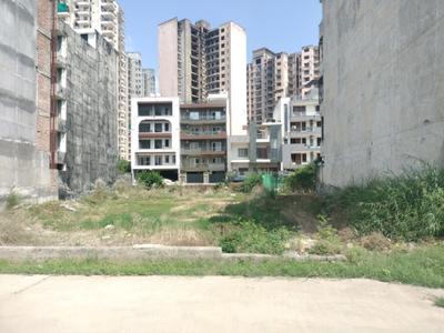 Phase 1 Plot View 1