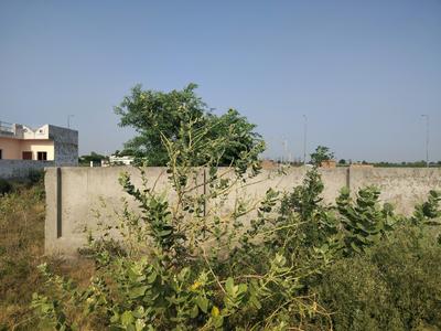 Yeida Plot View 2