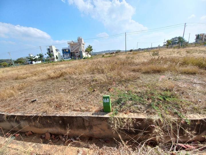 MMG Grand City Main Image 1