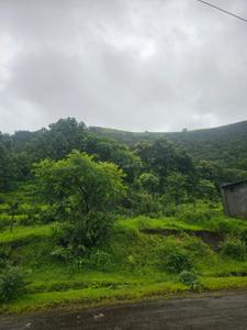 Image of 520000 Sq.ft Residential Plot / Land for sale in Varasgaon, Pune for Rs. 123500000