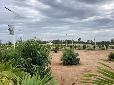 Image of 1560 Sq.ft Residential Plot / Land for sale in Kovilpalayam, Coimbatore for Rs. 3935000