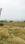 Manglia Plot View 2