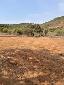 Image of 1089 Sq.ft Residential Plot / Land for sale in Panvel, Navi Mumbai for Rs. 1250000