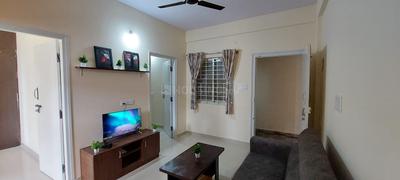 Hall Image of 850 Sq.ft 2 BHK Builder Floor for rent in Mahadevapura Bengaluru for Rs. 35000