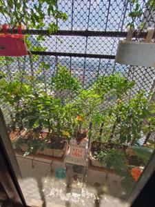 Balcony Image of 1100 Sq.ft 2.5 BHK Apartment / Flat for sale in Natu 9 Riviera Hills, Kalwa Thane for Rs. 14500000
